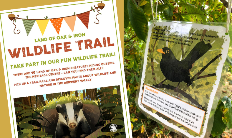 Oak & Iron Wildlife Trail
