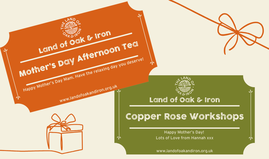 Voucher examples, Mother's day plans in the north east