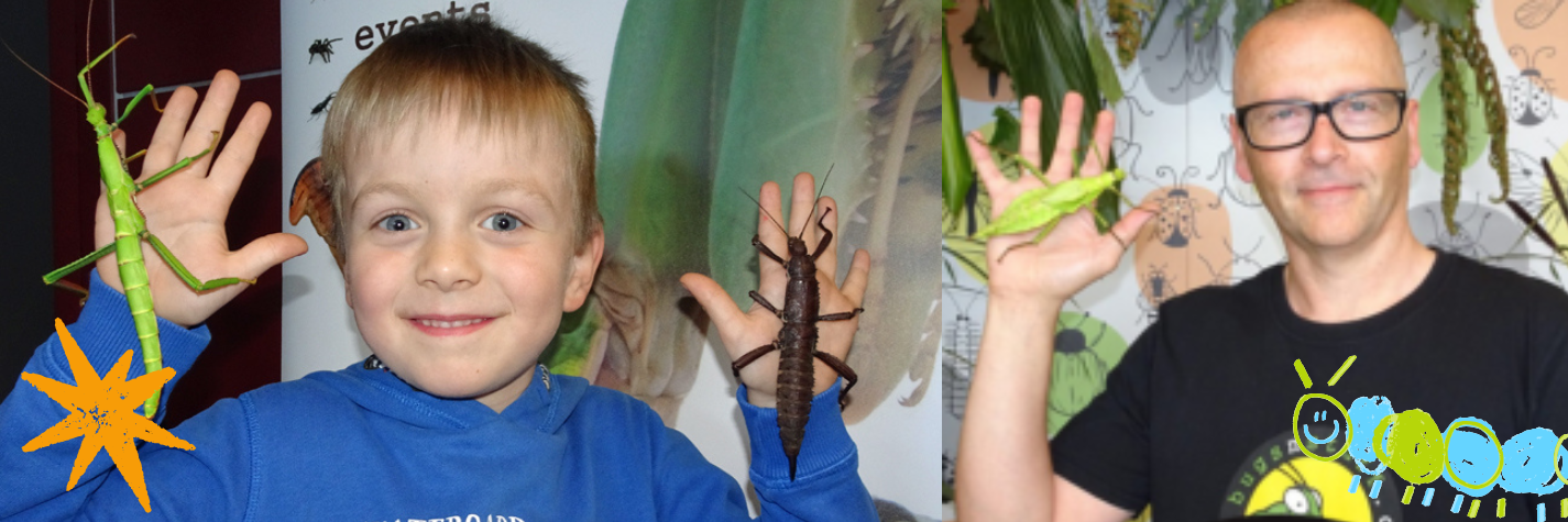 What's on summer holidays, bug event at the land of oak and iron newcastle gateshead