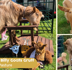 Three Billy Goats Gruff Experience