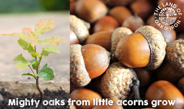 Little Acorn Planting Activity